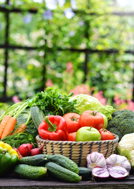 Variété de légumes frais biologiques dans le jardin
 - Photo, image