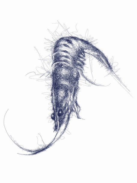 Seafood doodle with inking - Fotó, kép
