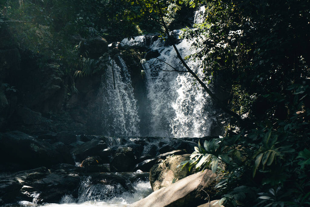 Cascada de viaje en un bosque tropical durante el día - Foto, imagen