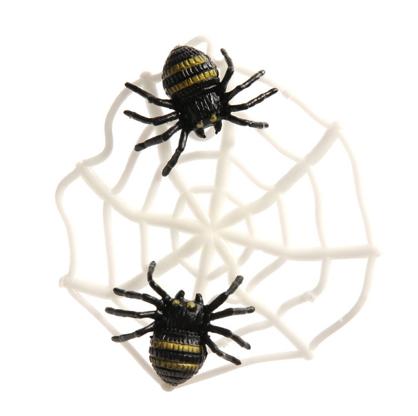 Telaraña y arañas para Halloween sobre fondo blanco - Foto, imagen