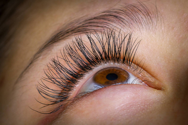 Procedura di estensione delle ciglia, occhio di donna con ciglia lunghe
 - Foto, immagini