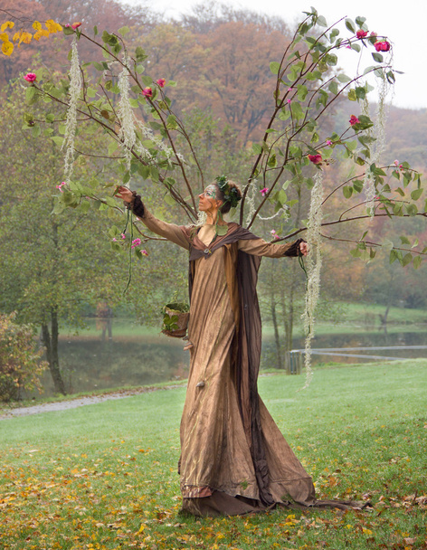 herfst fairy - Foto, afbeelding