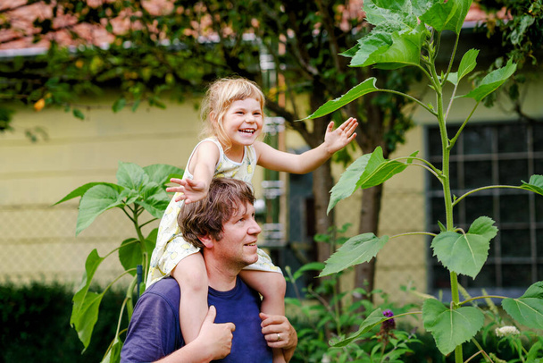 Egy kis óvodás lány ül az apa vállán hatalmas napraforgóval a kertben. Boldog család, gyerek és apa, középkorú férfi, aki virágokat termeszt. Gyerekek és ökológia, környezetvédelmi koncepció. - Fotó, kép