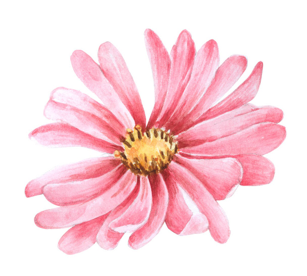 Kukka Elementti akvarelli häät kukka eristää valkoisella taustalla - Valokuva, kuva