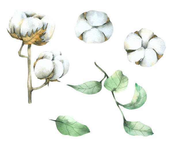 Colección flor acuarela aislada sobre fondo blanco - Foto, imagen