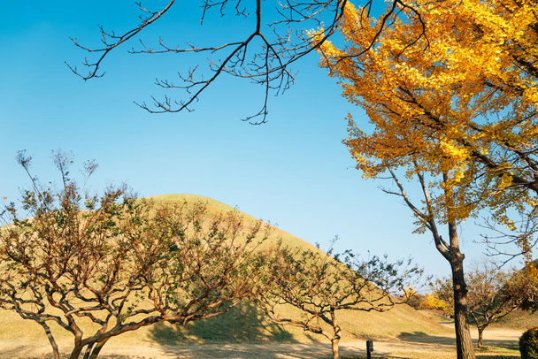 Herfst van Daereungwon oude graf in Gyeongju, Korea - Foto, afbeelding