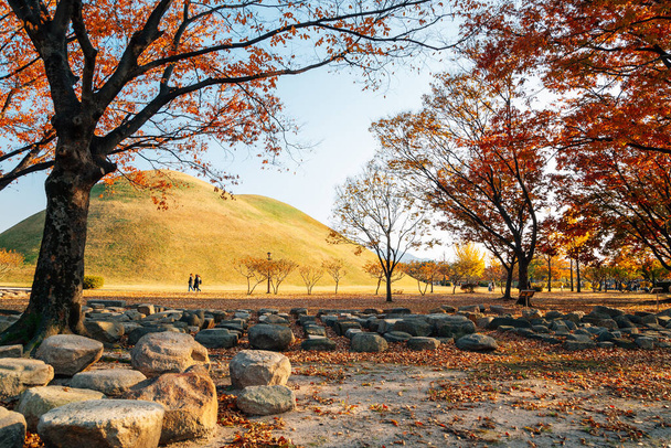 Otoño de Daereungwon antigua tumba en Gyeongju, Corea - Foto, Imagen