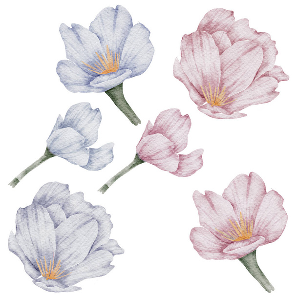 Flower Element akvarel svatební květina izolovat na bílém pozadí - Fotografie, Obrázek