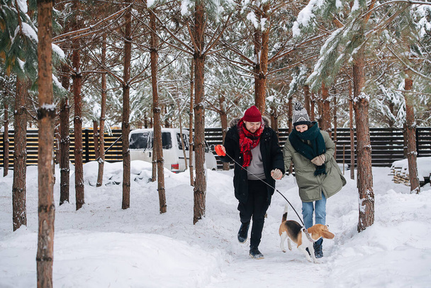 Energetic couple fast walking on a snowy pathway with their dog between conifer tree trunks through their yard. Both wearing hats, jackets and scarfs. - Foto, Bild