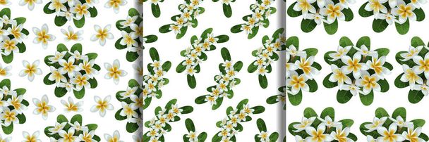 Plumeria seamless patterns set for textile print - Vetor, Imagem