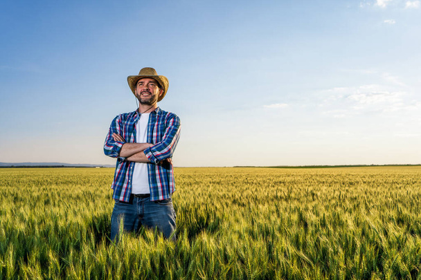Bauer steht in seinem wachsenden Weizenfeld. Er freut sich über die erfolgreiche Aussaat. - Foto, Bild