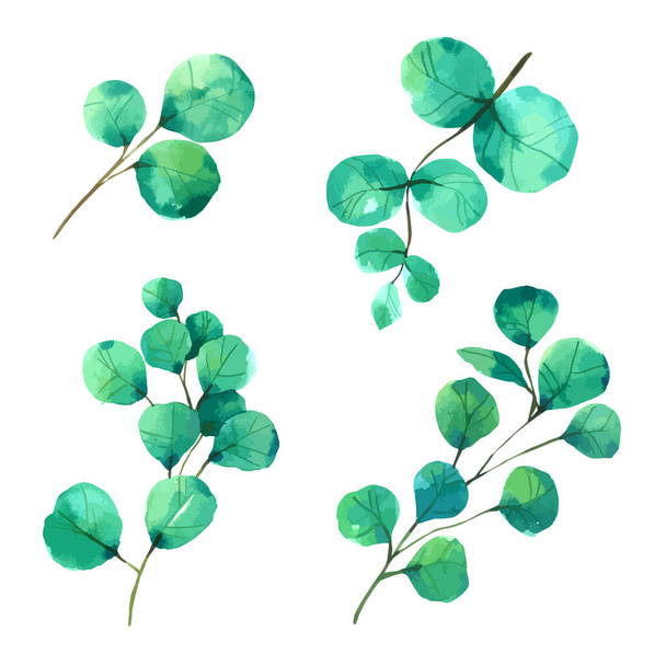 Elemento de folha verde aquarela - Vetor, Imagem
