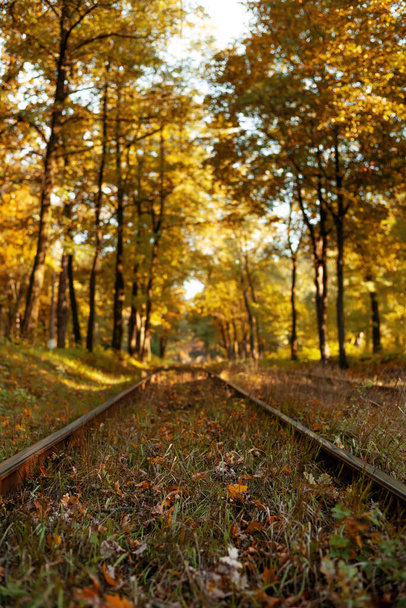 Vieja vía férrea en otoño paisaje con hojas caídas. Ferrocarril borroso en el bosque de otoño - Foto, imagen