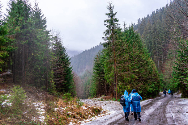 Buzlu yoldaki yağmurluklar, Karpat Dağları, Ukrayna - Fotoğraf, Görsel