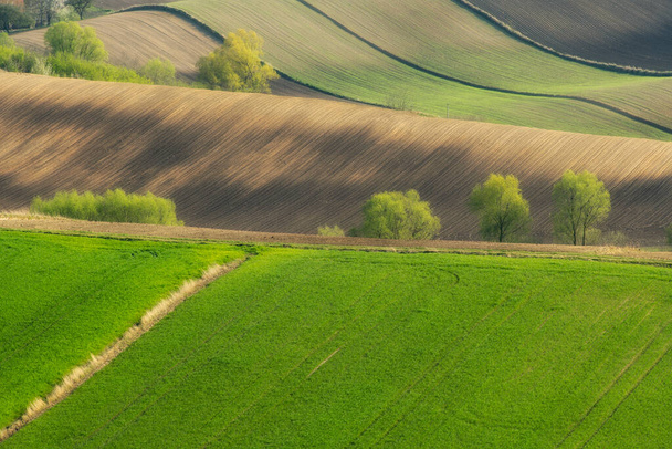 Hermoso paisaje rural de primavera con campos verdes - Foto, Imagen