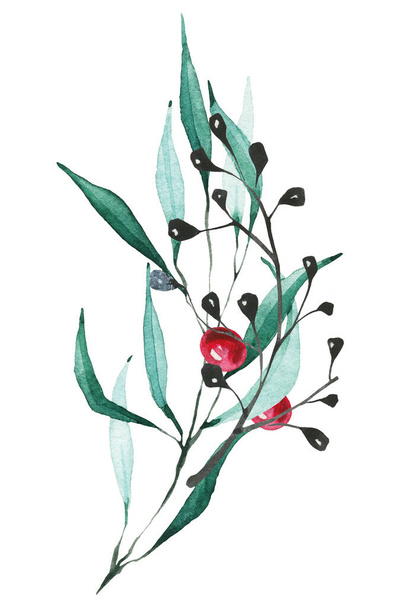 Isolated black branch, eucalyptus and red berries arrangement. Christmas bouquet. Watercolor hand drawn painted illustration on white background. Water colour drawing. - Photo, image