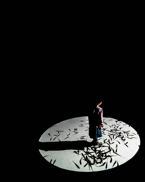artistic expression, girl in the dark surrounded by shadow fishes - Photo, Image