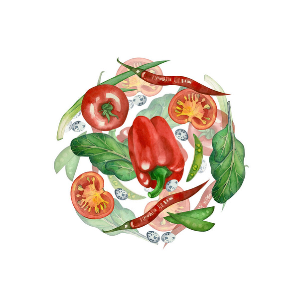 watercolor composition of colored seasonal vegetables on a white background. For menu design, postcards, invitations, textiles. - Fotografie, Obrázek