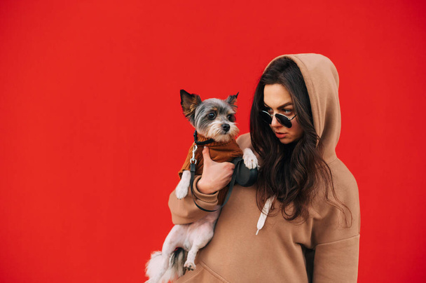 Retrato divertido de una mujer atractiva con estilo usando una capucha y gafas de sol, sosteniendo su adorable york terrier, de pie en el fondo rojo aislado. - Foto, Imagen