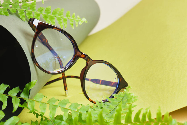 fern and eye glasses on rolled green paper, vision test concept, beautiful stylish fashion accessories in optics store - Foto, immagini