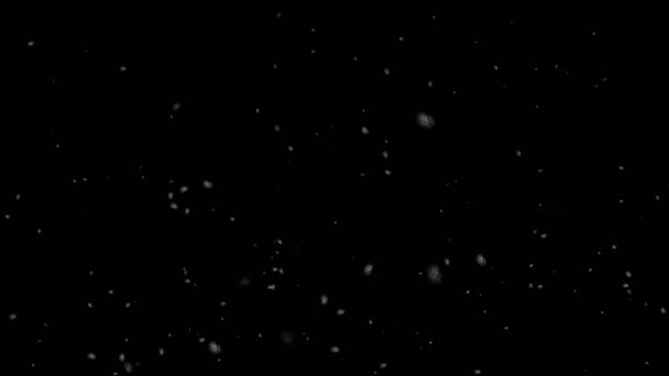 Fondo realista de nevadas aislado sobre fondo negro. renderizado 3d. - Foto, imagen