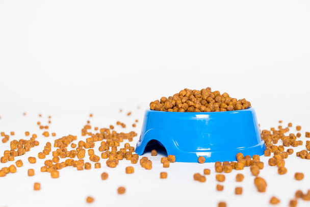 Синяя тарелка с сухим кормом для животных на белом фоне изолировать с местом для текста для зоомагазина. - Фото, изображение