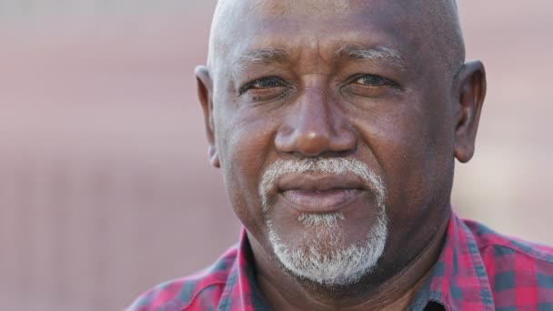 Headshot portrait of citizen serious pensive black male with wrinkles looking at camera closeup, friendly grandfather posing, gray-haired african american man feeling good, mature senior  - Footage, Video