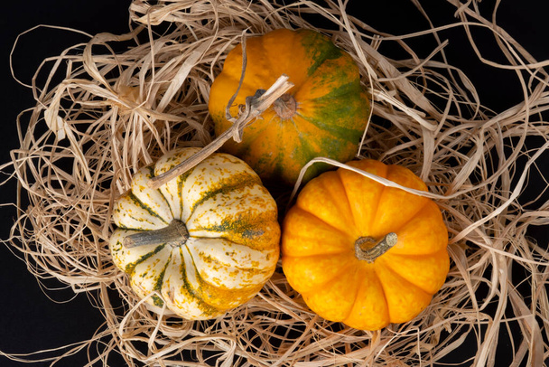 Természetes tök szezonális Halloween koncepció: Közelkép a bio friss élelmiszer széna. Nyers nyers, nyers tökzöldség. Mezőgazdasági háttér fénymásolási hellyel. Szüret ősszel, októberben. A felek előkészítése - Fotó, kép