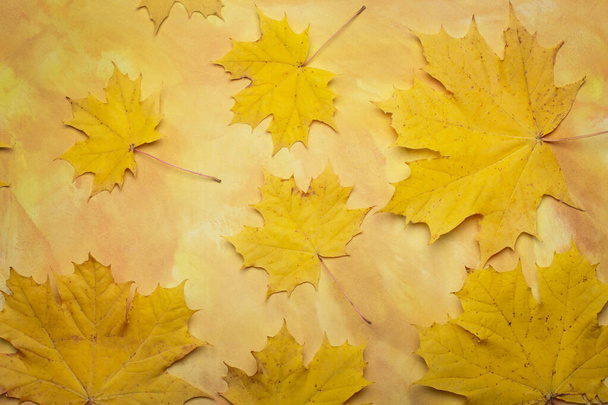 Осенние желтые кленовые листья. Кленовые листья на желтом фоне. - Фото, изображение