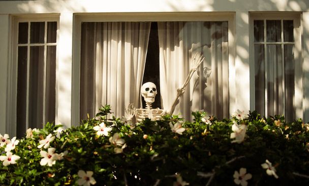Scheletro amichevole alla finestra. Benvenuto nello scheletro di famiglia. Scenario per Halloween in ottobre. Decorazione in casa. - Foto, immagini