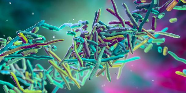 Bactéries Erysipelothrix, illustration 3D. Une espèce de bactéries pléomorphes en forme de bâtonnets causant la maladie de la peau érysipéloïde, en particulier chez les personnes travaillant avec des poissons et des produits animaux - Photo, image
