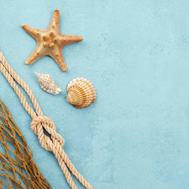 starfish shells with copy space. High quality photo - Photo, Image