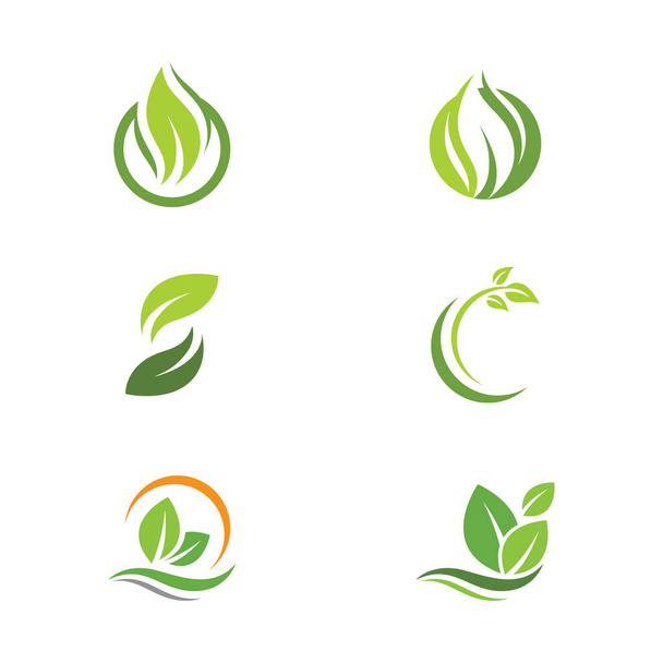 Yeşil Ağaç Yaprağı ekolojisi doğa element tasarımı - Vektör, Görsel