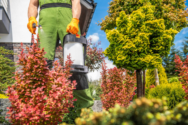 Blanke mannen met tuinsproeier Insecticide zijn planten. Tuinman aan het werk in een tuin. Bescherming van planten. - Foto, afbeelding