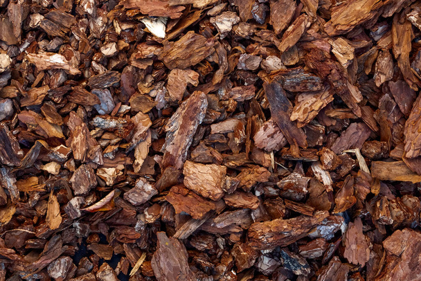 Chips of the bark of a tree close-up as a background. - Fotó, kép