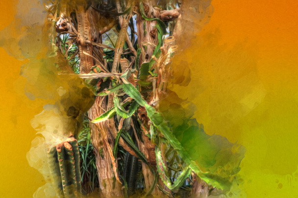 Curación verde Aloe Arborescens planta, ilustración, dibujo, boceto, antigüedad, retro, vendimia - Foto, imagen