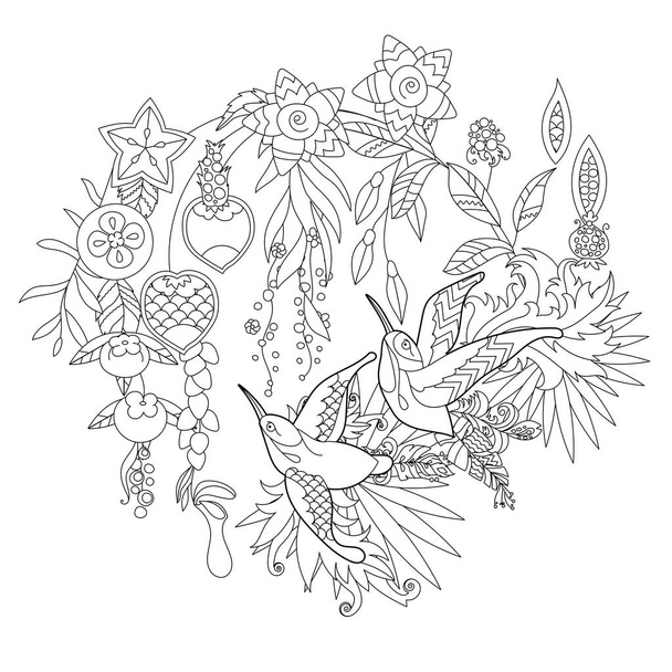 Contour linear illustration for coloring book with paradise birds in flowers. Tropic colibri,  anti stress picture. Line art design for adult or kids  in zen-tangle style, tattoo and coloring page. - Vektori, kuva