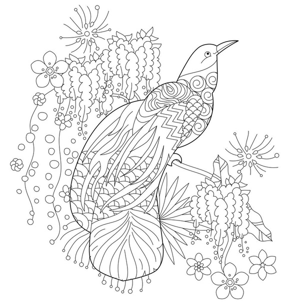 Contour linear illustration for coloring book with paradise bird in flowers. Tropic bird,  anti stress picture. Line art design for adult or kids  in zen-tangle style, tattoo and coloring page. - Vettoriali, immagini