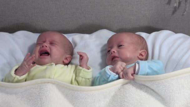 Dos hermanas se acuestan en la cama. Dos bebés gemelos en la cama, uno llorando. - Metraje, vídeo
