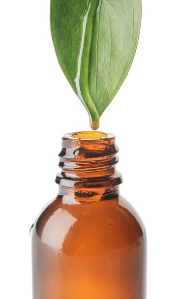 Капание эфирного масла из листьев в бутылку на белом фоне - Фото, изображение