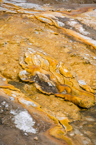 Geiser y aguas termales en la antigua cuenca fiel en el Parque Nacional de Yellowstone en Wyoming
 - Foto, imagen