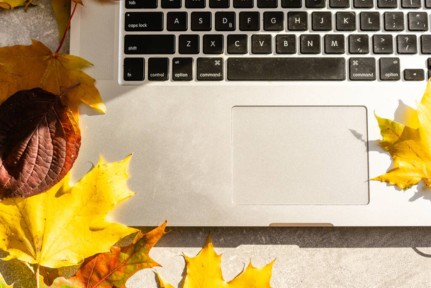 Workspace with yellow and red maple leaves. Desktop with laptop, fallen leaves on grey wooden background - Фото, изображение