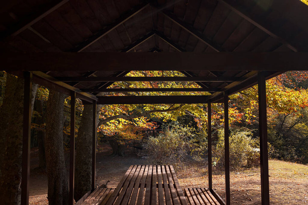 Empty small picnic pavilion with table on in the woodland - Photo, Image