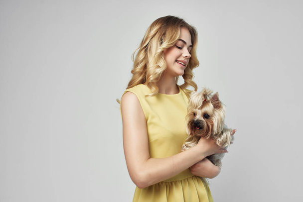 beautiful woman in a yellow dress with small dog on isolated background. High quality photo - Фото, изображение