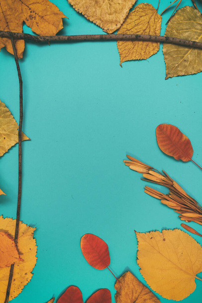 Осенний макет с желтыми, красными листьями. Конусы ели и белый лист бумаги для надписи. - Фото, изображение