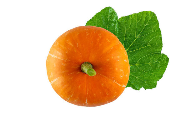 Ripe orange pumpkin with green leaf isolated on white background. Horizontal orientation, top view. - Photo, Image