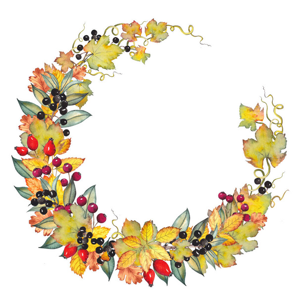 Demi wreath with autumn leaves and berries. - 写真・画像