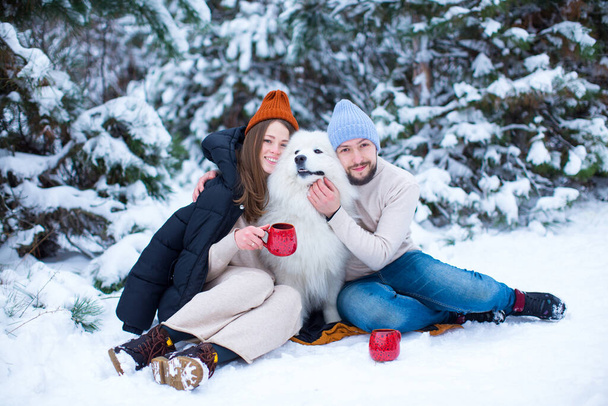 Una giovane coppia - un ragazzo e una ragazza con un bel cane - Samoyed bere il tè in una foresta innevata. Buon anno e buon Natale - Foto, immagini