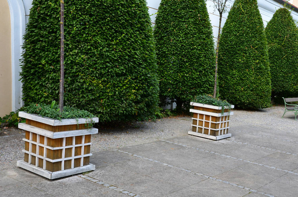 old castle orangery with wooden flowerpots in the shape of a block. they have a square pattern and stand in rows in a regular grid of squares - the courtyard. cut hornbeams near the wall, cone shape. - Photo, Image