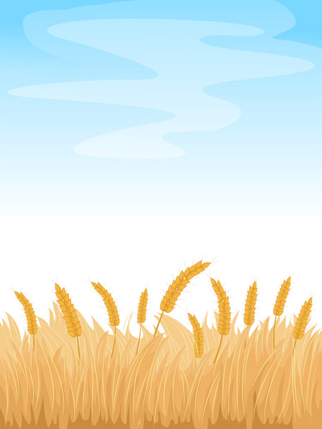澄んだ青い空の下の麦畑 - 写真・画像